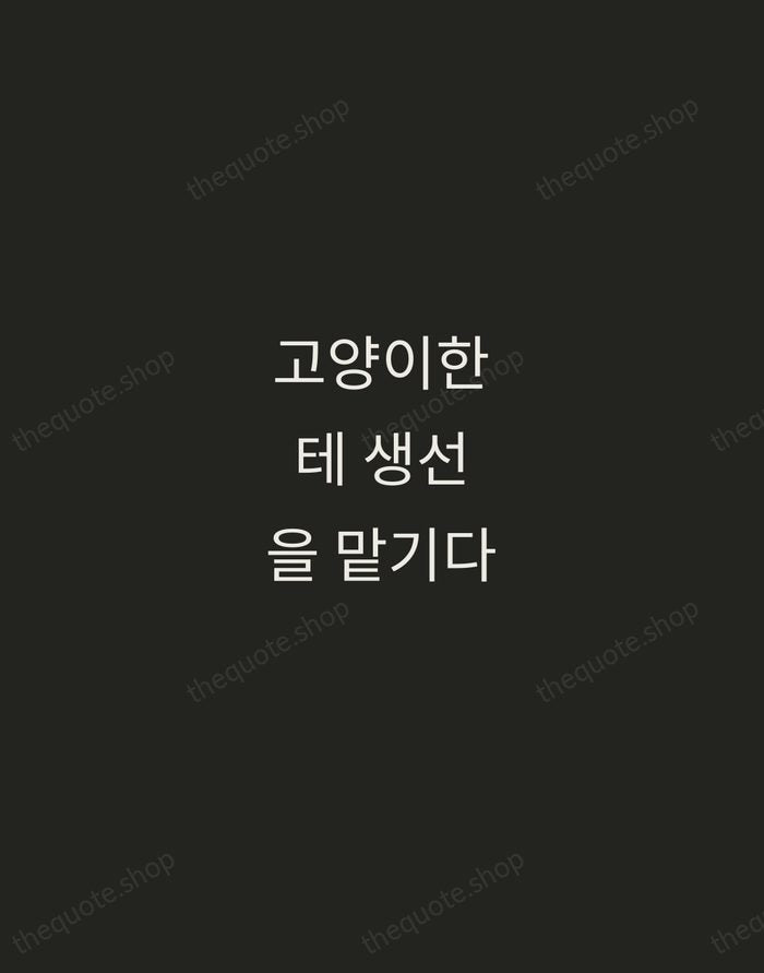 고양이한테 생선을 맡기다 — Korean Proverb — Tracked Caps Unsigned