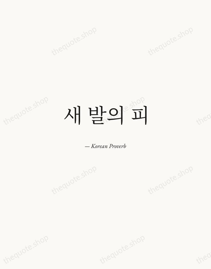 새 발의 피 — Korean Proverb — Quiet Garamond