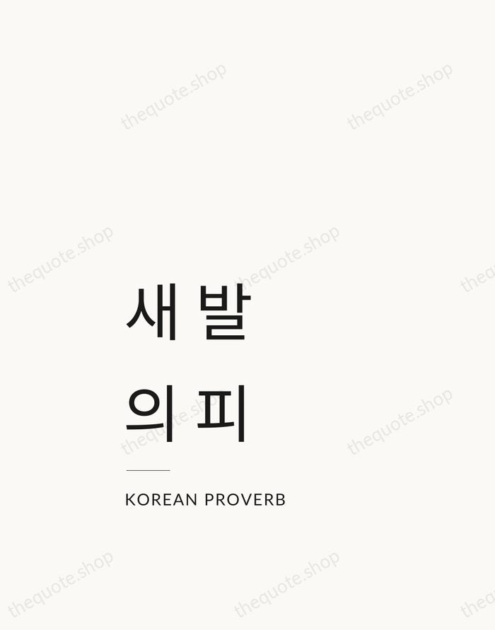 새 발의 피 — Korean Proverb — Studio Left