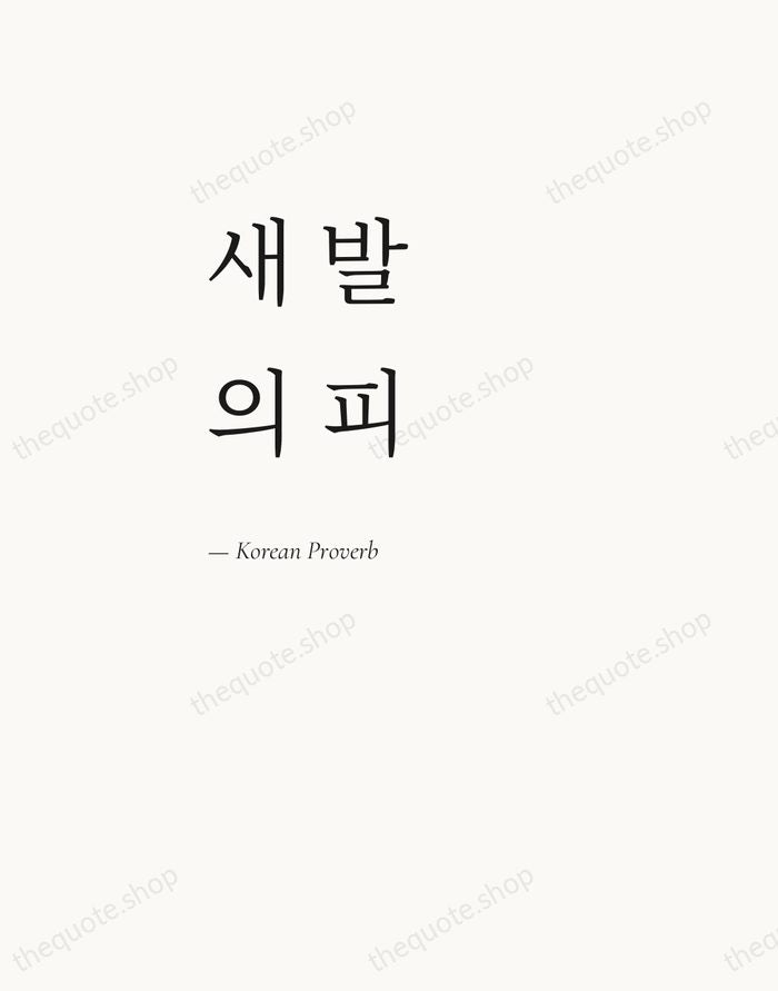 새 발의 피 — Korean Proverb — Editorial Left Serif