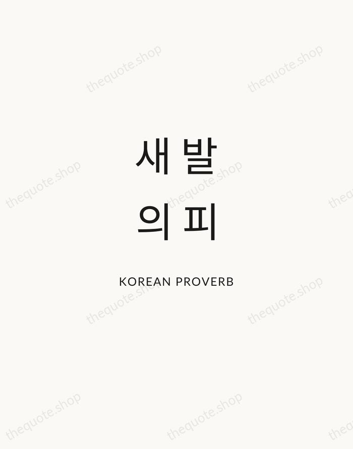 새 발의 피 — Korean Proverb — Modern Sans Calm