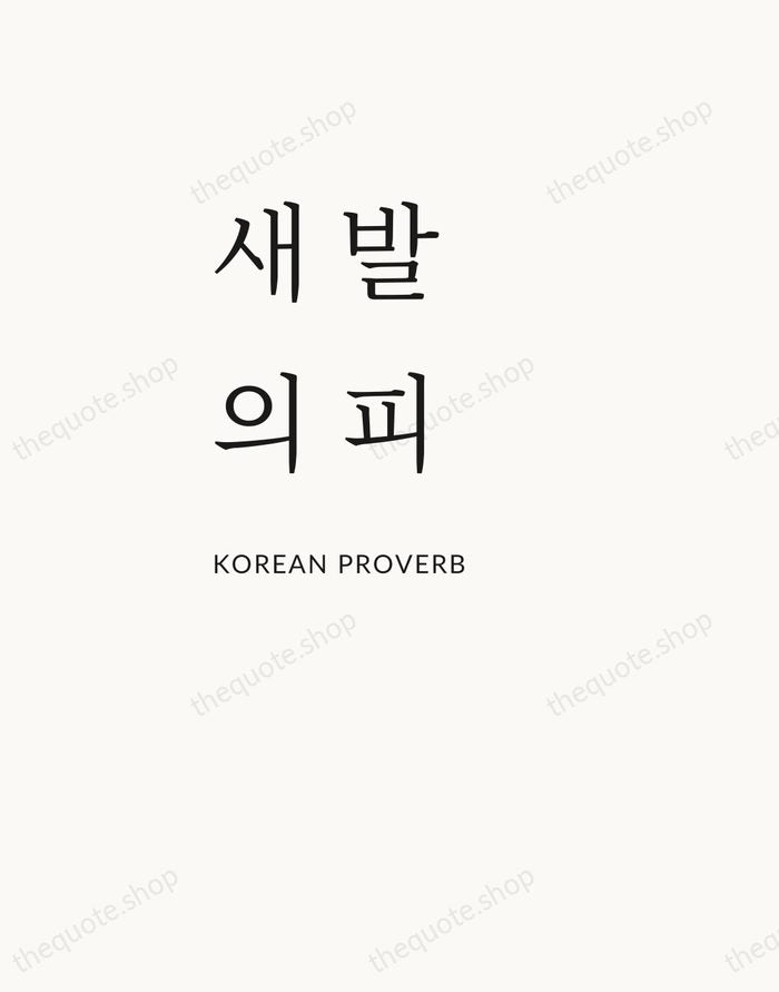 새 발의 피 — Korean Proverb — Asymmetric Left