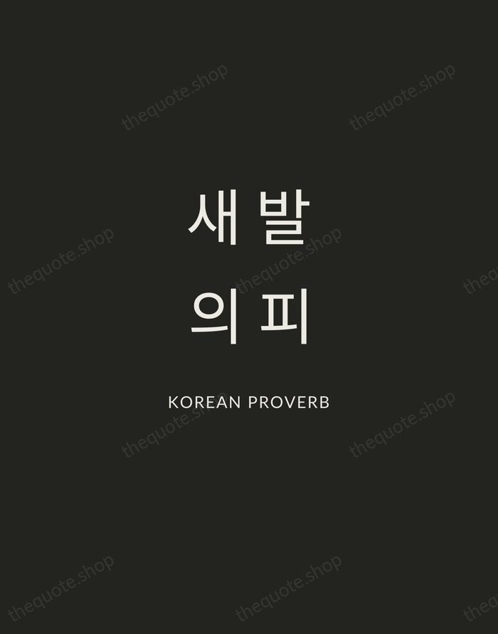 새 발의 피 — Korean Proverb — Charcoal Sans