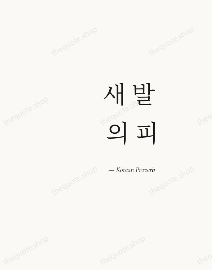 새 발의 피 — Korean Proverb — Soft Serif Right