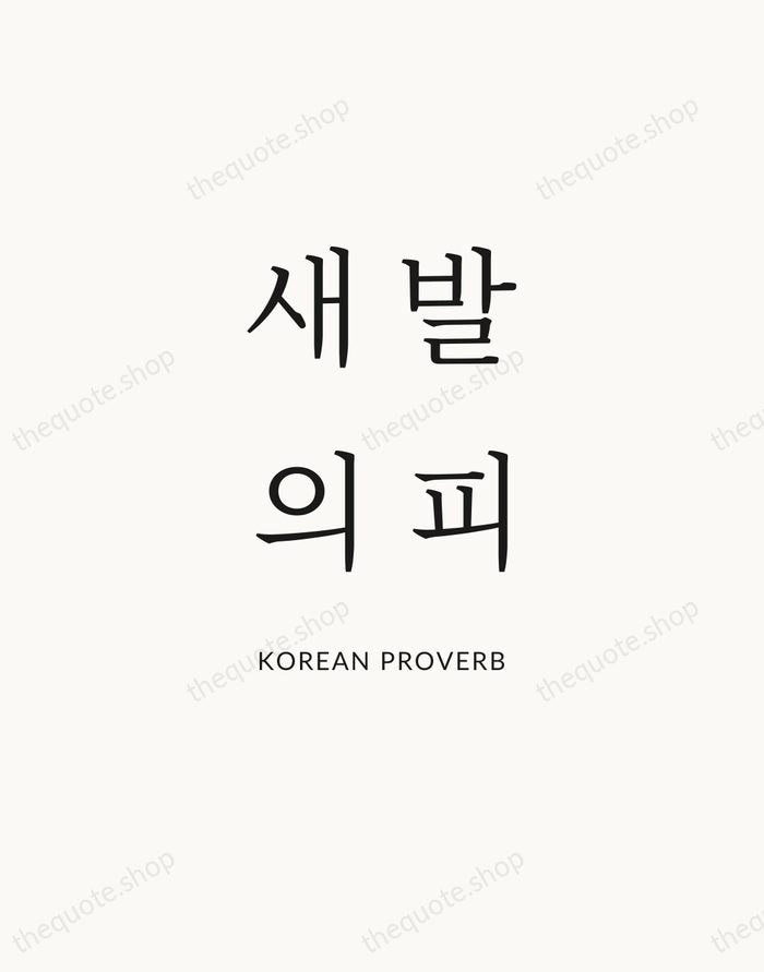 새 발의 피 — Korean Proverb — Statement Serif