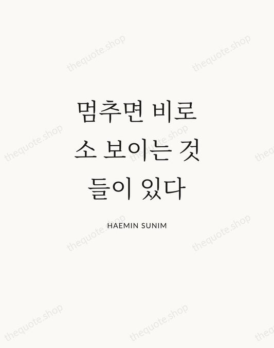 멈추면 비로소 보이는 것들이 있다 — Haemin Sunim | Printable Wall Art — Atelier Serif