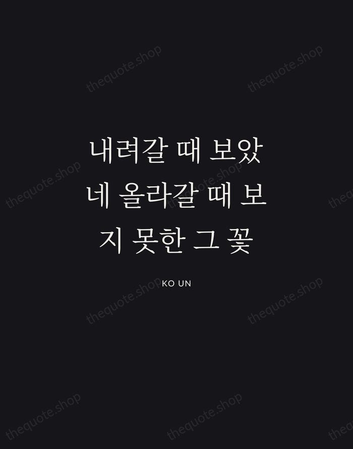 내려갈 때 보았네 올라갈 때 보지 못한 그 꽃 — Ko Un | Printable Wall Art — Midnight Serif