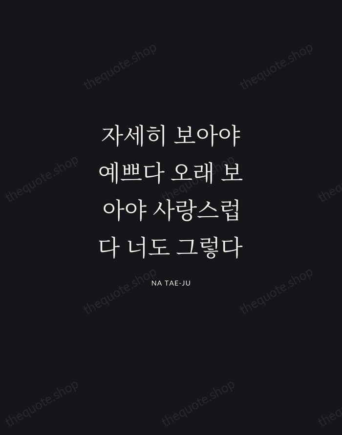 자세히 보아야 예쁘다 오래 보아야 사랑스럽다 너도 그렇다 — Na Tae-ju | Printable Wall Art — Midnight Serif