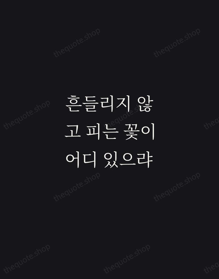 흔들리지 않고 피는 꽃이 어디 있으랴 — Do Jong-hwan — Night Script