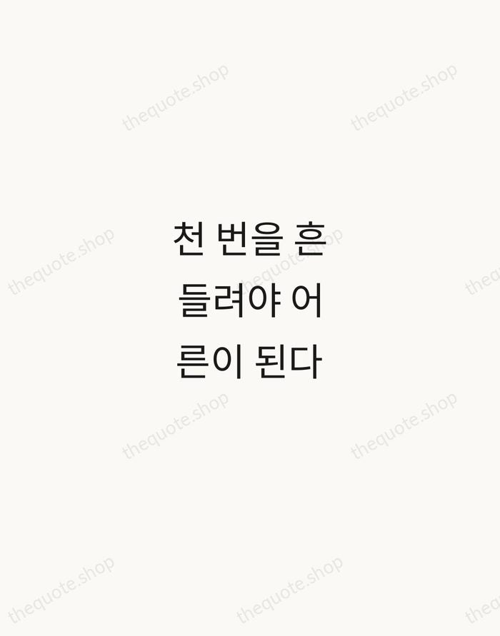 천 번을 흔들려야 어른이 된다 — Kim Ran-do — Minimal Unsigned