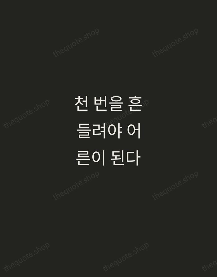 천 번을 흔들려야 어른이 된다 — Kim Ran-do — Tracked Caps Unsigned