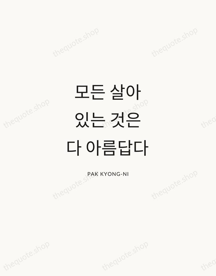 모든 살아있는 것은 다 아름답다 — Pak Kyong-ni — Modern Sans Calm