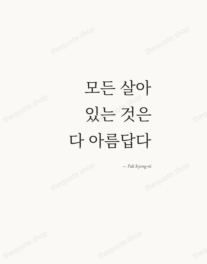 모든 살아있는 것은 다 아름답다 — Pak Kyong-ni — Soft Serif Right