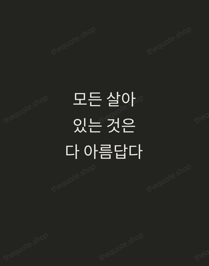 모든 살아있는 것은 다 아름답다 — Pak Kyong-ni — Tracked Caps Unsigned