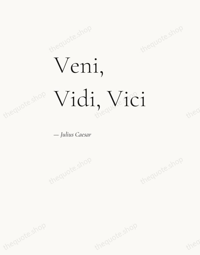 Veni, Vidi, Vici — Julius Caesar — Editorial Left Serif