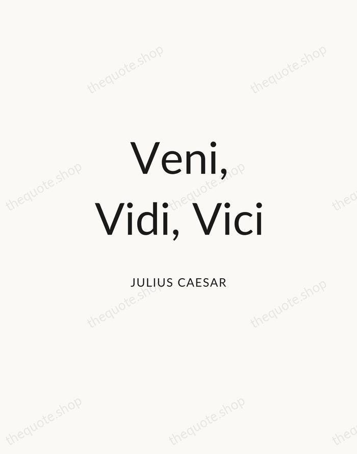 Veni, Vidi, Vici — Julius Caesar — Modern Sans Calm