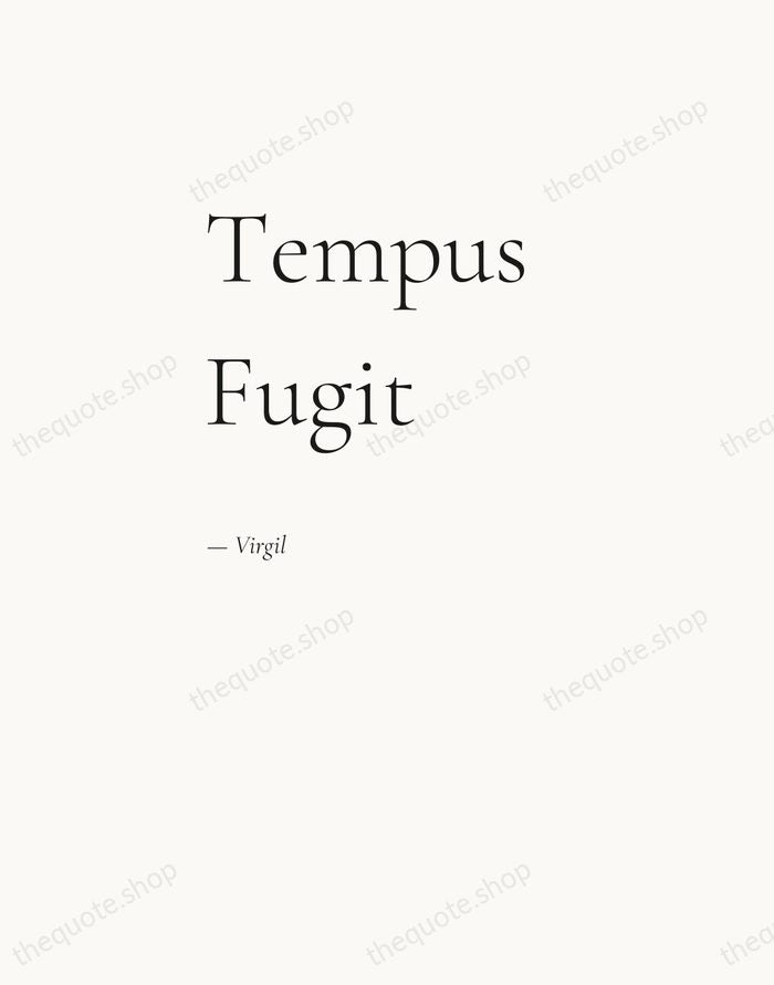 Tempus Fugit — Virgil — Editorial Left Serif