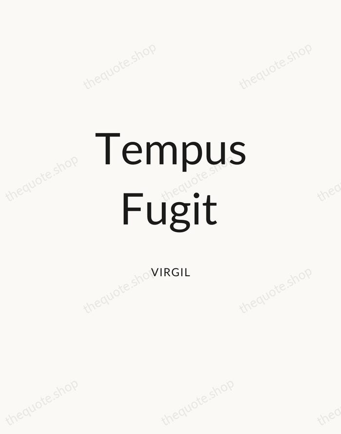 Tempus Fugit — Virgil — Modern Sans Calm
