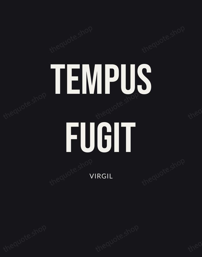 Tempus Fugit — Virgil | Printable Wall Art — Poster Condensed