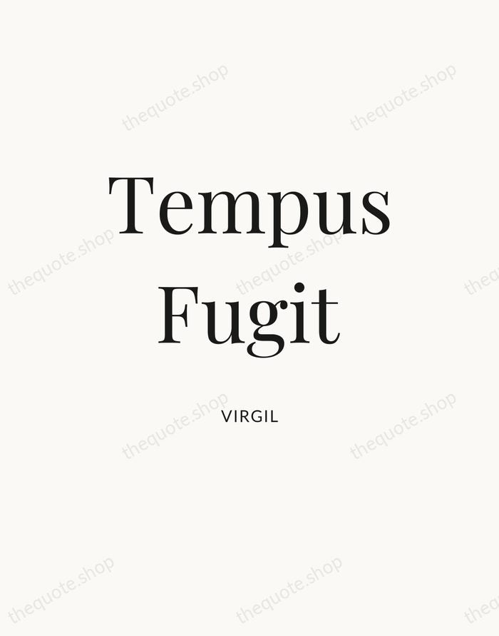 Tempus Fugit — Virgil — Statement Serif
