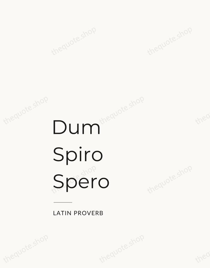 Dum Spiro Spero — Latin Proverb — Studio Left