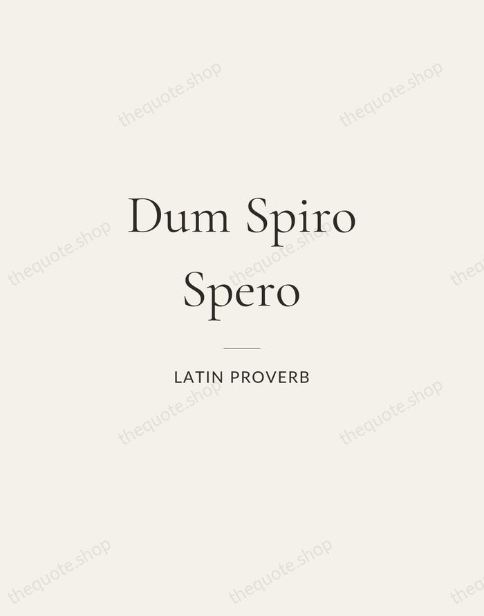 Dum Spiro Spero — Latin Proverb — Gallery Rule