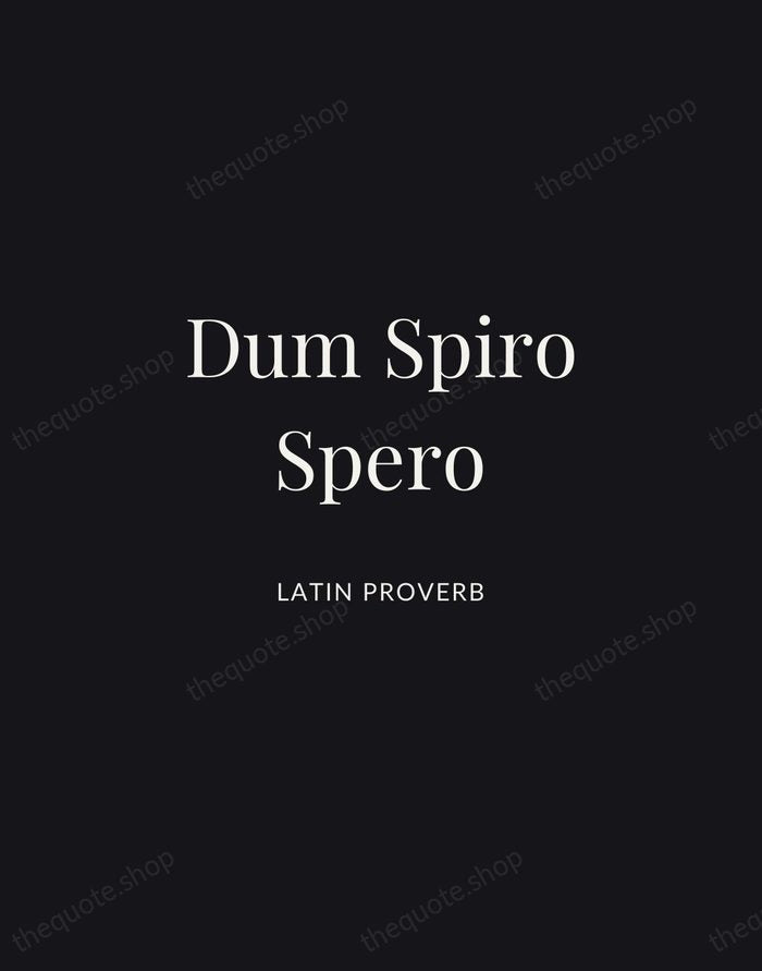 Dum Spiro Spero — Latin Proverb | Printable Wall Art — Midnight Serif