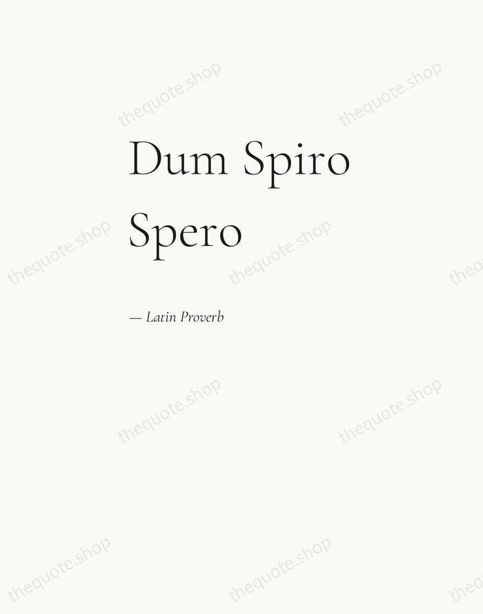 Dum Spiro Spero — Latin Proverb — Editorial Left Serif