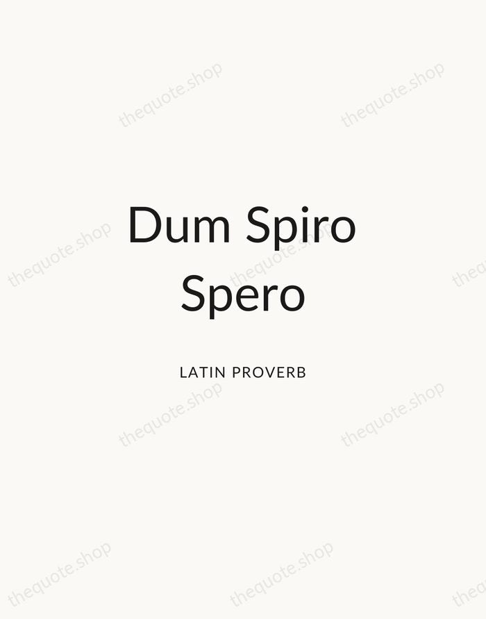 Dum Spiro Spero — Latin Proverb — Modern Sans Calm