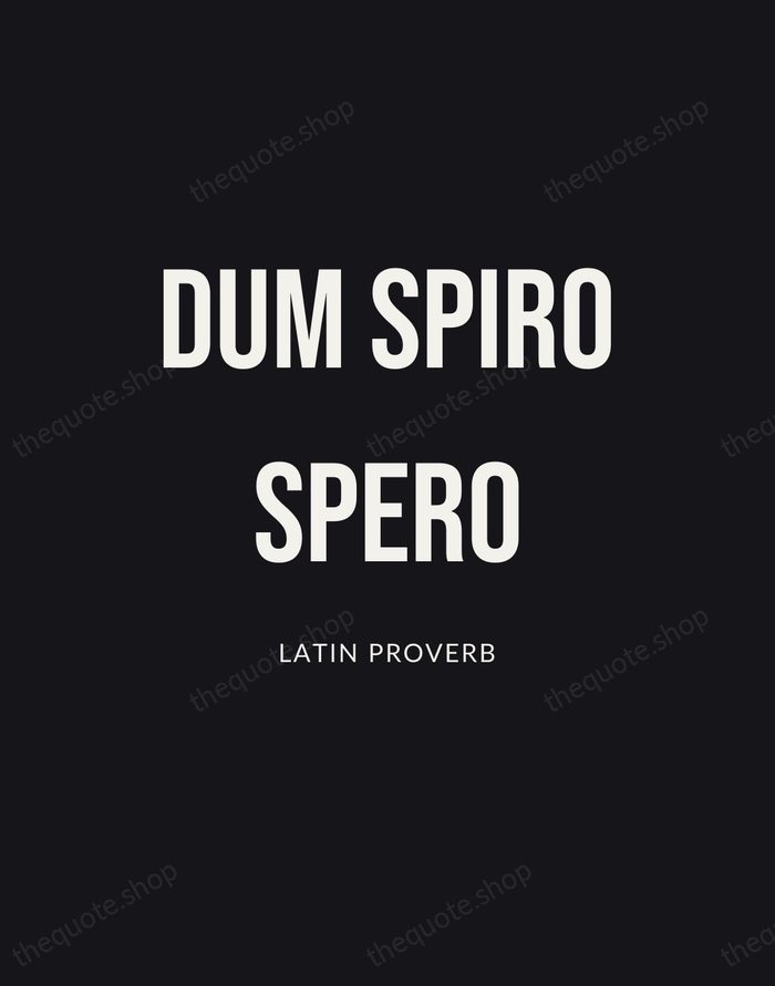 Dum Spiro Spero — Latin Proverb | Printable Wall Art — Poster Condensed