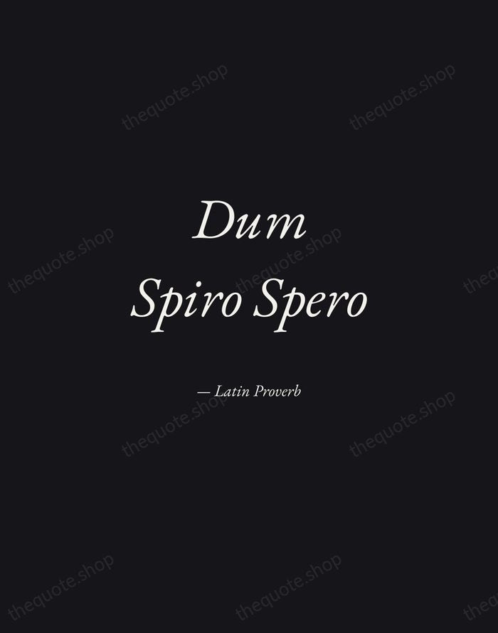 Dum Spiro Spero — Latin Proverb — Manuscript Italic
