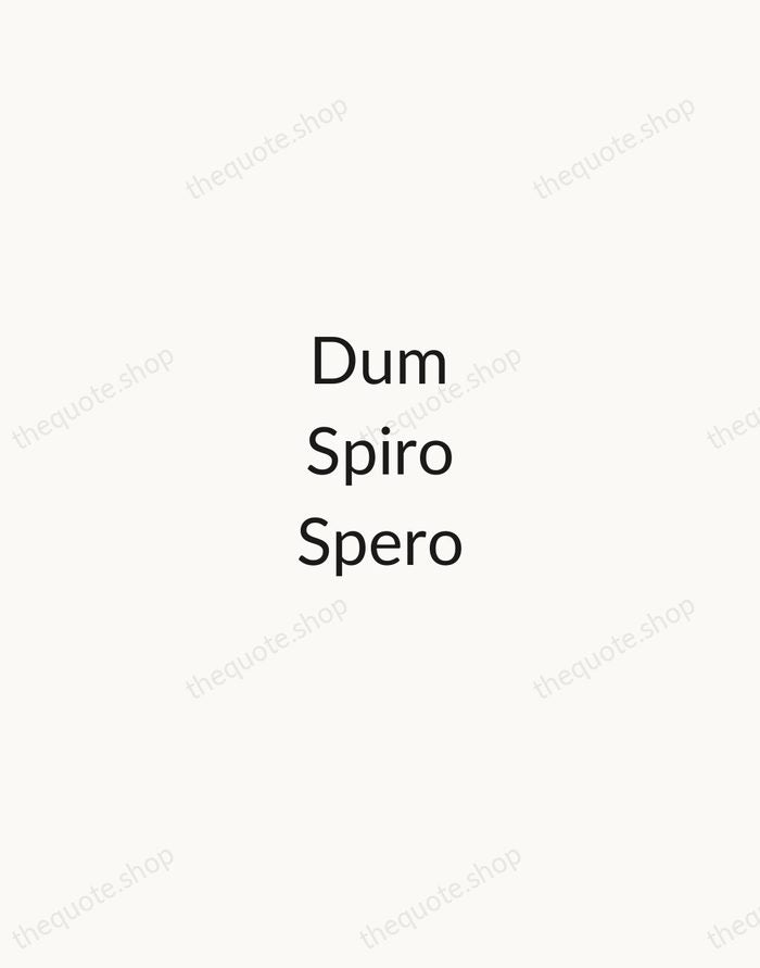 Dum Spiro Spero — Latin Proverb — Minimal Unsigned