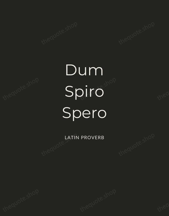 Dum Spiro Spero — Latin Proverb — Charcoal Sans