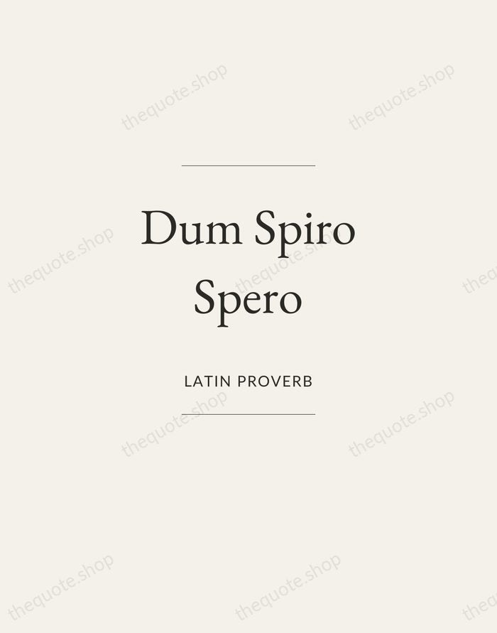 Dum Spiro Spero — Latin Proverb — Gallery Frame