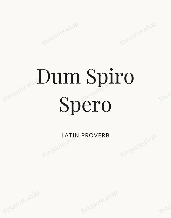 Dum Spiro Spero — Latin Proverb — Statement Serif