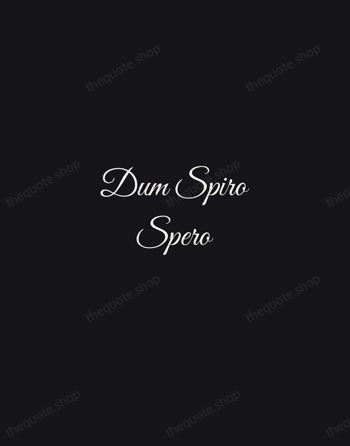 Dum Spiro Spero — Latin Proverb — Night Script