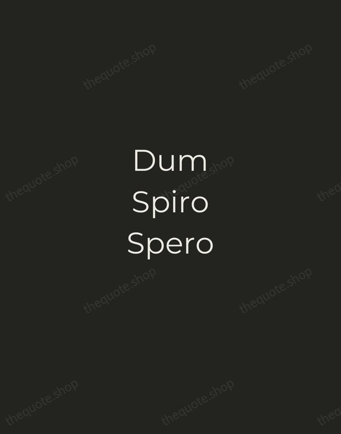 Dum Spiro Spero — Latin Proverb — Tracked Caps Unsigned