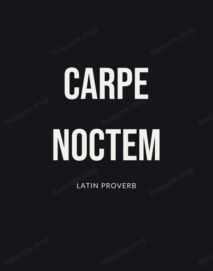 Carpe Noctem — Latin Proverb | Printable Wall Art — Poster Condensed