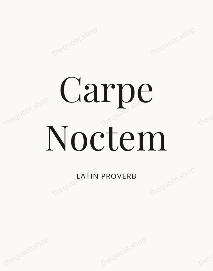 Carpe Noctem — Latin Proverb — Statement Serif
