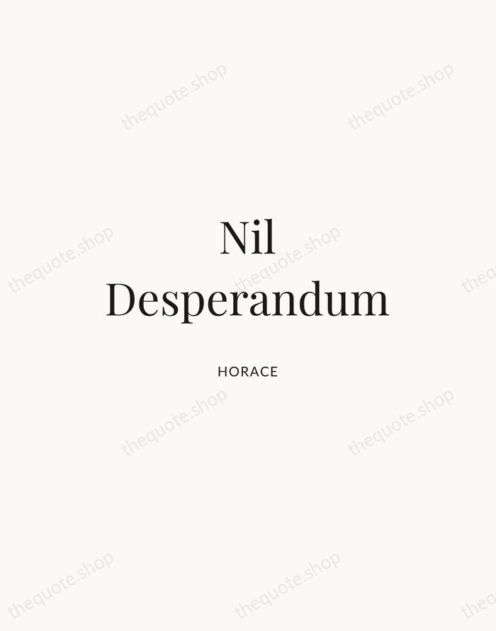 Nil Desperandum — Horace — Statement Serif