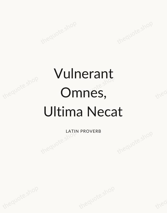 Vulnerant Omnes, Ultima Necat — Latin Proverb — Modern Sans Calm