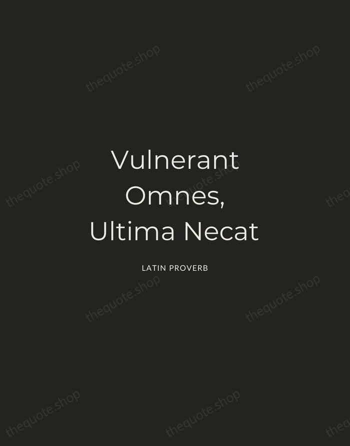 Vulnerant Omnes, Ultima Necat — Latin Proverb — Charcoal Sans