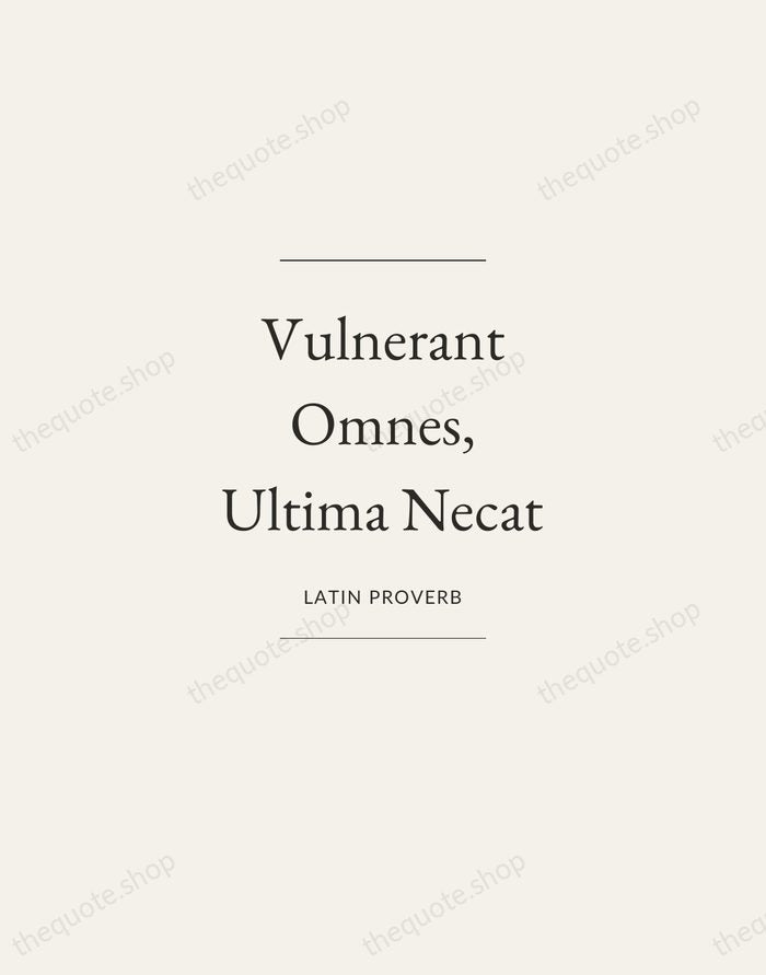Vulnerant Omnes, Ultima Necat — Latin Proverb — Gallery Frame