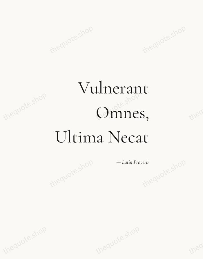 Vulnerant Omnes, Ultima Necat — Latin Proverb — Soft Serif Right
