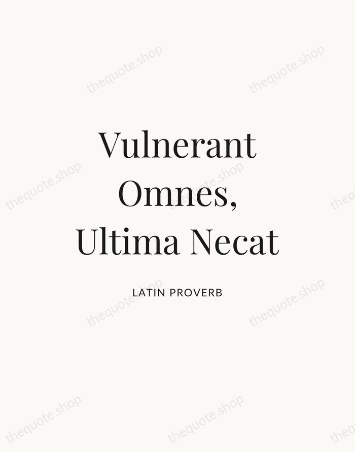 Vulnerant Omnes, Ultima Necat — Latin Proverb — Statement Serif
