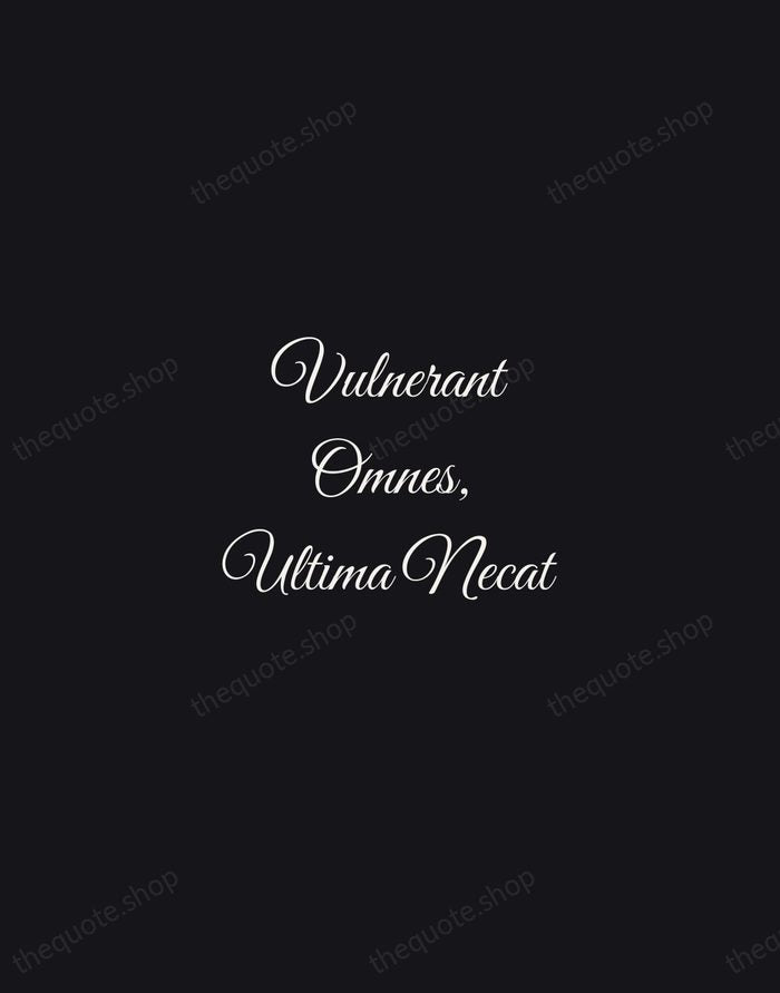 Vulnerant Omnes, Ultima Necat — Latin Proverb — Night Script