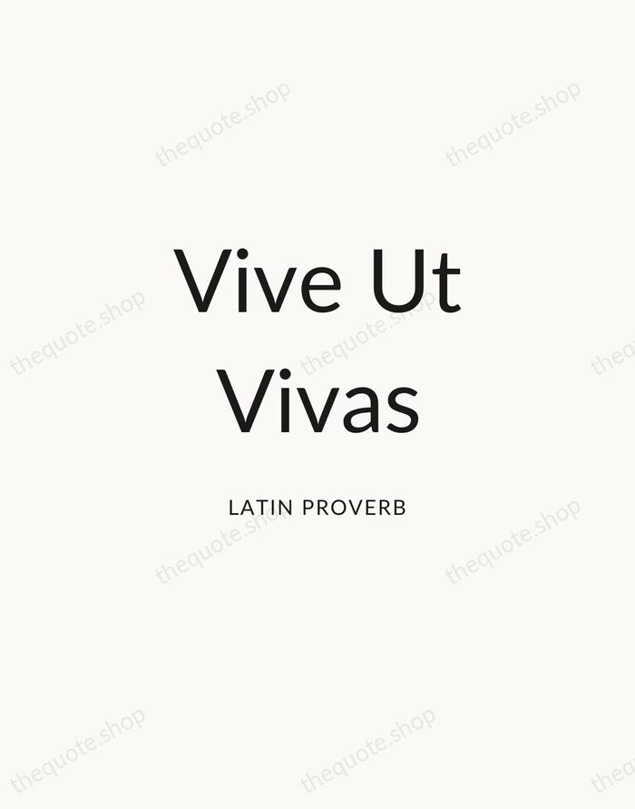 Vive Ut Vivas — Latin Proverb — Modern Sans Calm