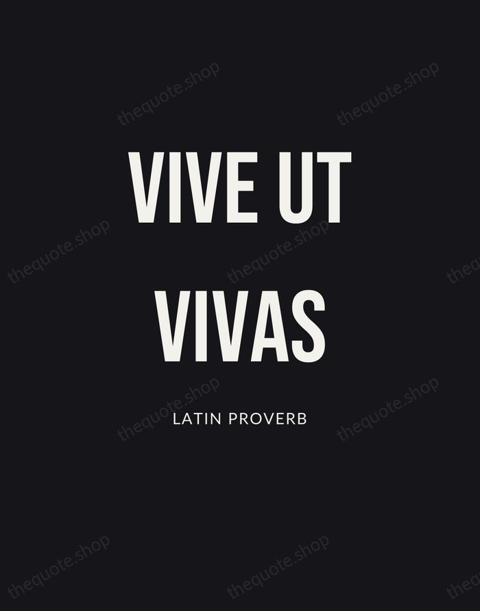 Vive Ut Vivas — Latin Proverb | Printable Wall Art — Poster Condensed