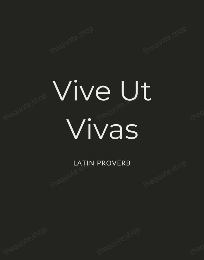Vive Ut Vivas — Latin Proverb — Charcoal Sans