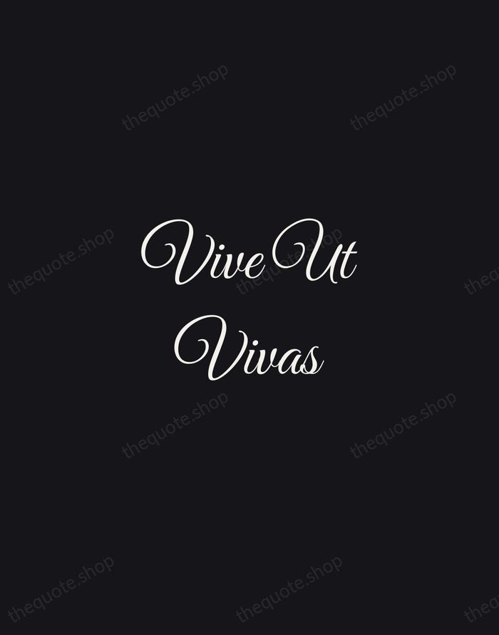 Vive Ut Vivas — Latin Proverb — Night Script